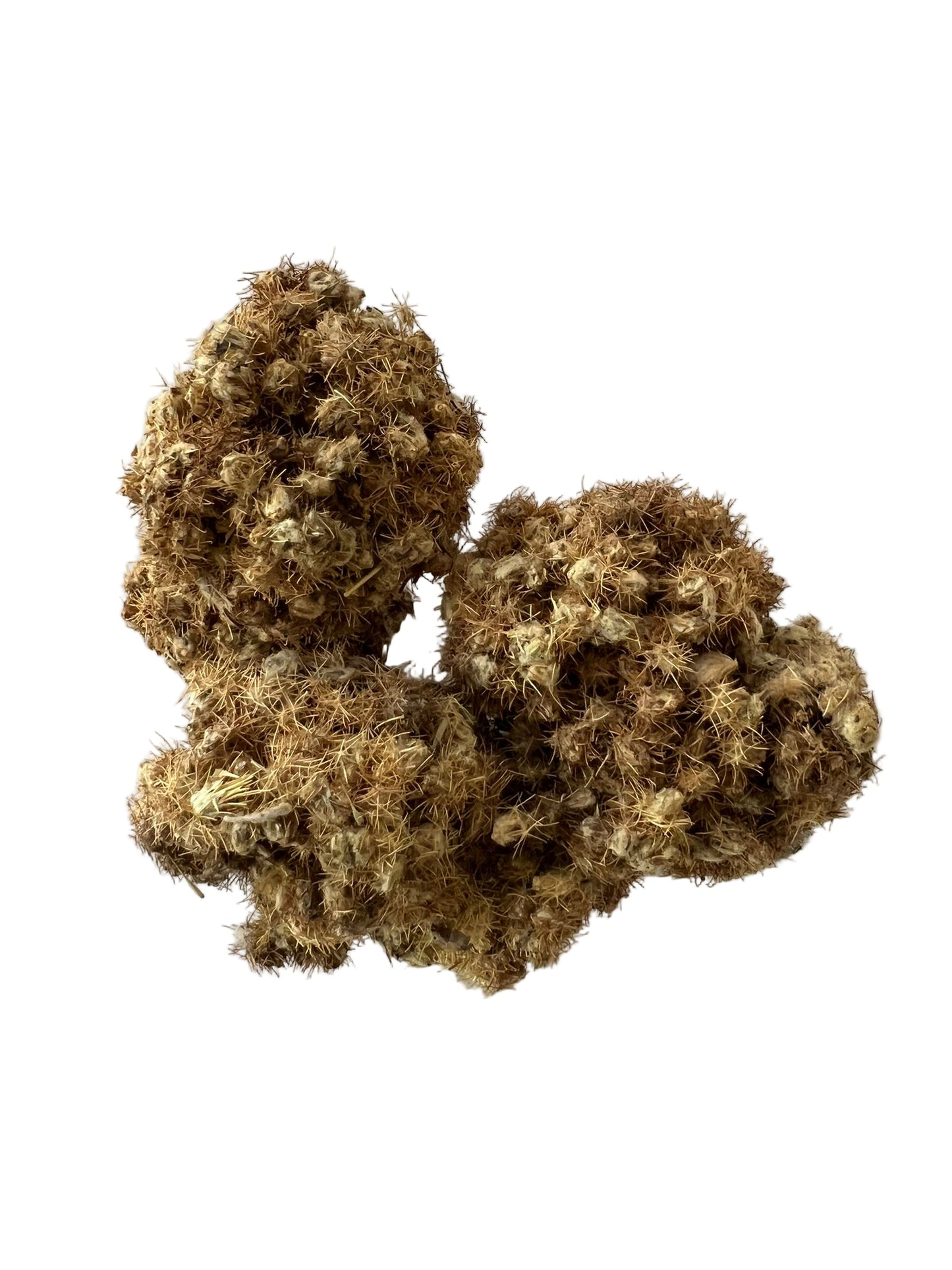 Coller Coller Serré