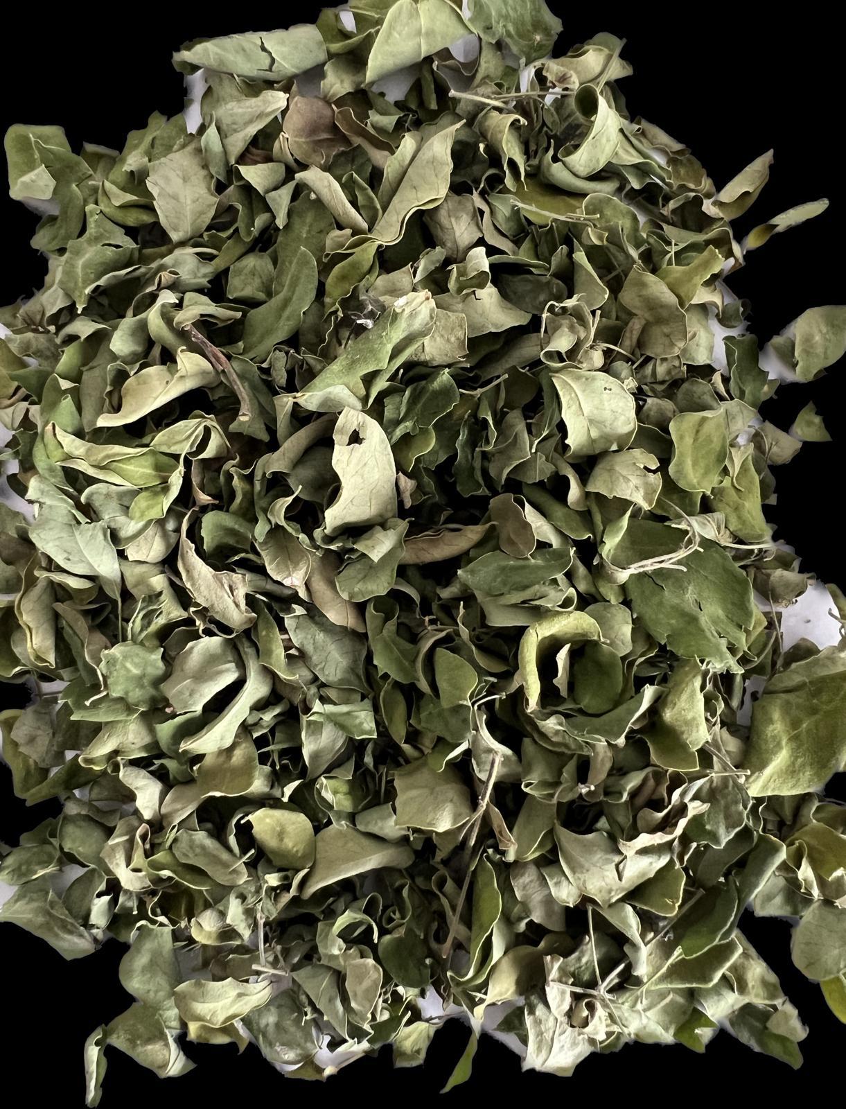 Moringa leaves