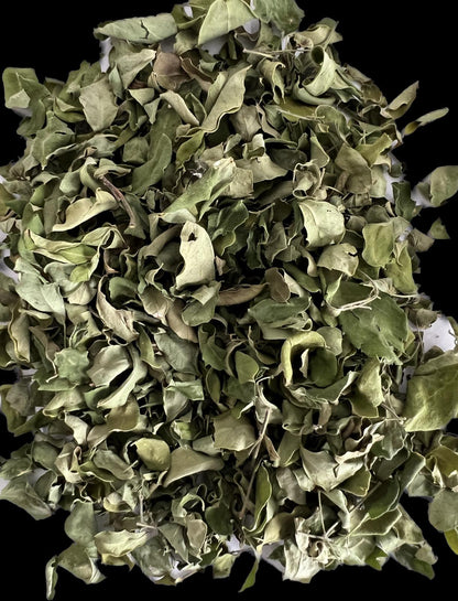 Moringa leaves